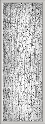 TAB – Exterior Doors | Decorative Glass | 2023