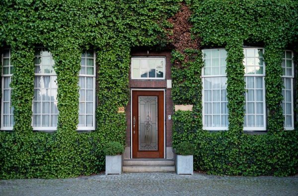 Brick & Ivy